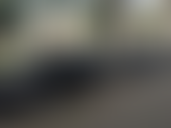 Julio Schiappa Pietra / Ministro go home