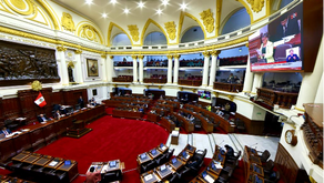 Fabiola Morales / Congreso: disparándose a los pies 