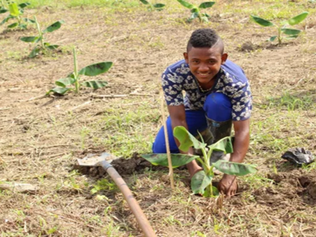 Juan de Dios Guevara / Sembrando a futuro (2 de 2)