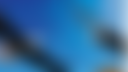 Julio Schiappa Pietra / El águila calva y el cóndor