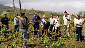 Juan Escobar / Formación agraria anti crisis (2 de 2)