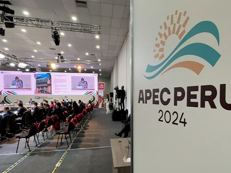 Juan de Dios Guevara / Más sobre APEC (2 de 3)Â