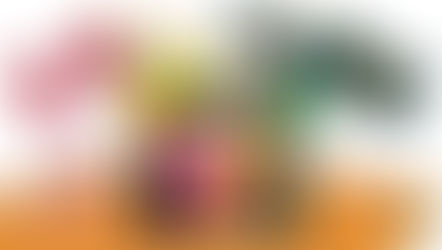 Embajador Jorge Castañeda / Seguridad ciudadana: marco conceptual