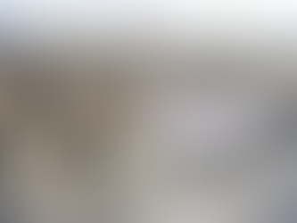 Alexandra Ames / Atrapados en el desmadre institucional