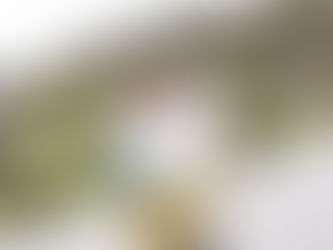 Juan de Dios Guevara / Elijamos bien. Pensemos (2 de 3)