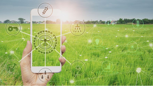 Alfonso Velásquez / Información y predictibilidad en agro