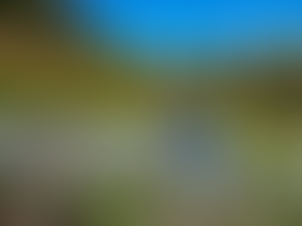 Carlos Ginocchio / Cómo financiar la agricultura (1 de 2)