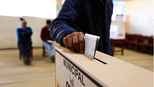 Fabiola Morales / Desconfianza electoral