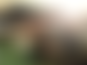 Juan de Dios Guevara / El Perú en su laberinto (1 de 2)