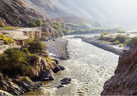 Fernando Cillóniz / La “apolítica del agua” en nuestro país.