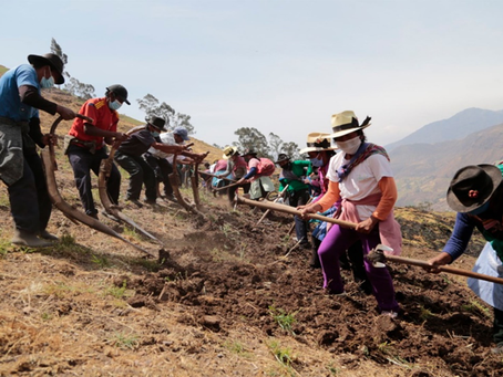 Germán Lench / Fortaleciendo la asociatividad (5 de 5)