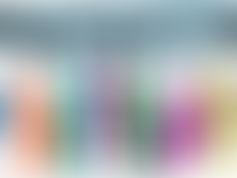 Pablo Secada / La EconomÃa del bienestar básica