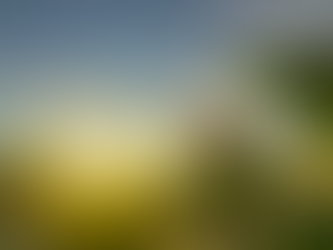 Germán Lench / ¿Cómo reactivamos el agro? (3 de 4)