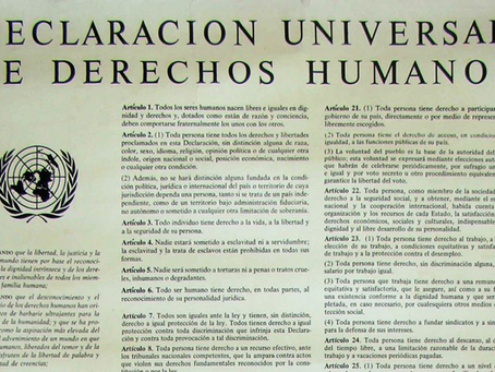 Fabiola Morales / A 75 años de la Declaración Universal de los DDHH