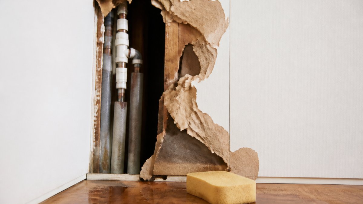 Signs of a Burst Pipe in Wall: 7 Warning Signs to Check