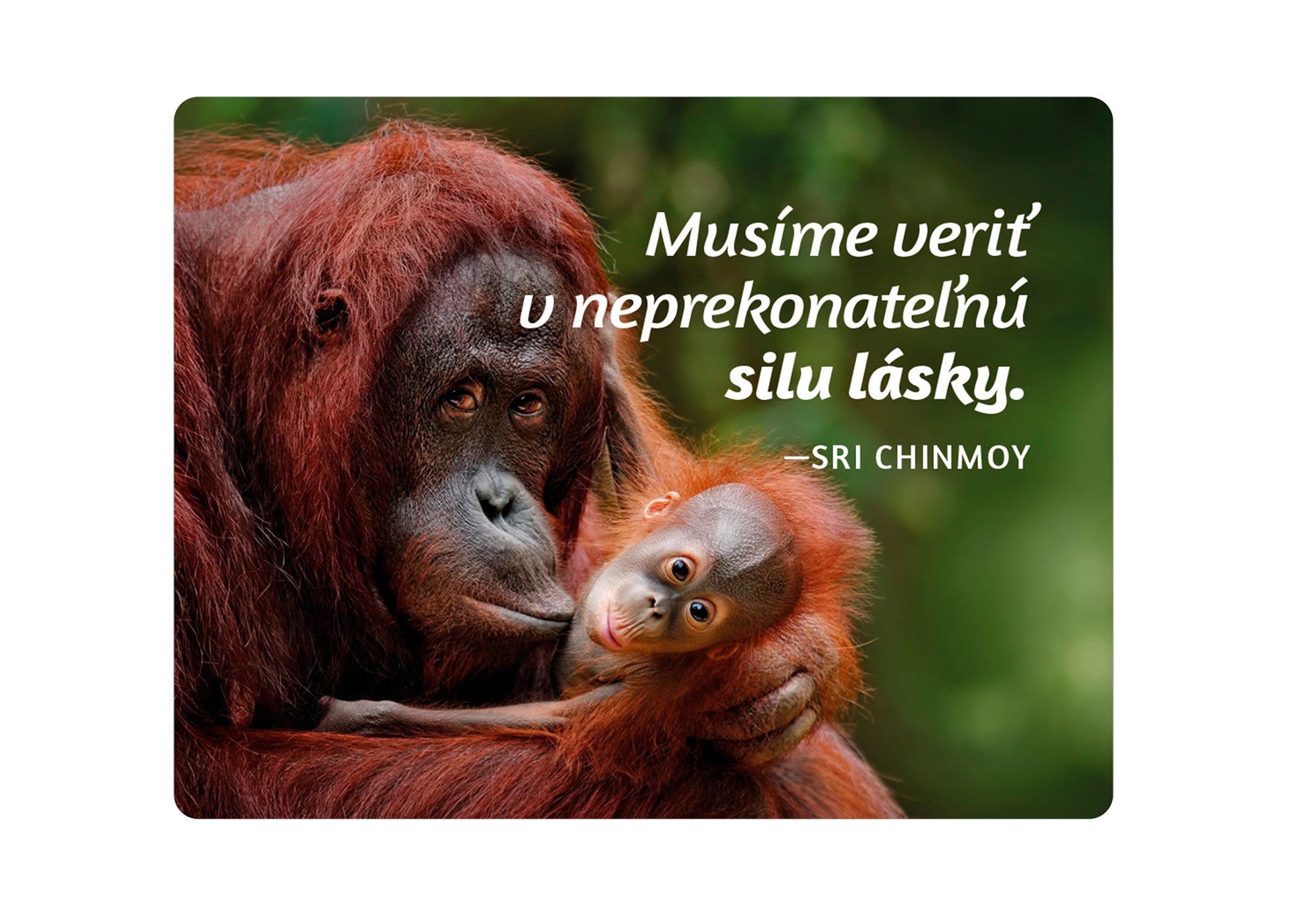 Magnetka na chladničku "Musíme veriť..."