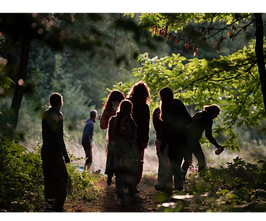 Silhouettes de personnes actives dans une lisière de forêt, symbolisant la quête, la connexion au vivant et l’expérience immersive dans la nature.