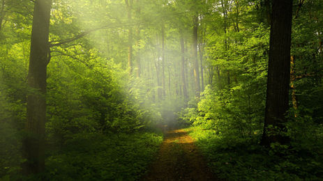 Les chemins de la connexion...