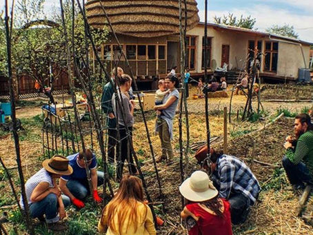 🏡 Nous souhaitons trop souvent commencer par vivre ensemble… #2