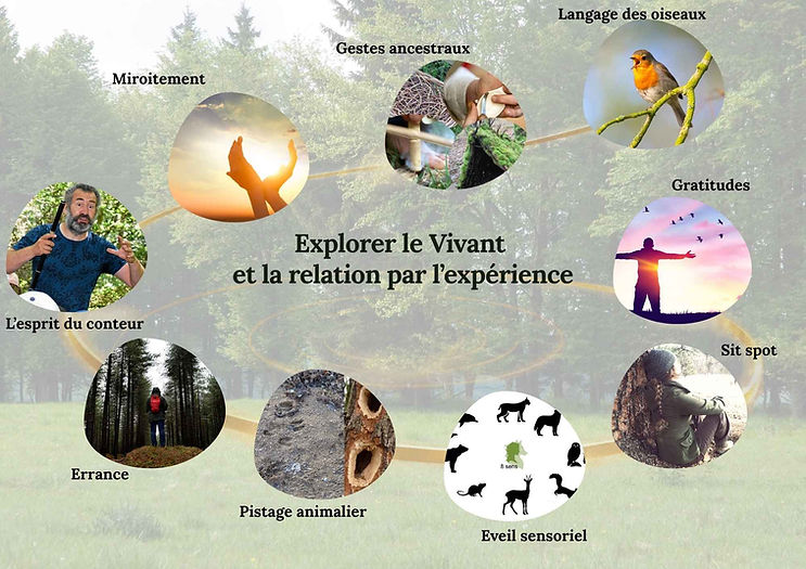 Les pratiques.jpg