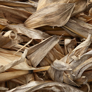 VERDE's Joins BEAM Circular Accelerator