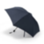 Thumbnail: All-Weather 2-Way Foldable Umbrella