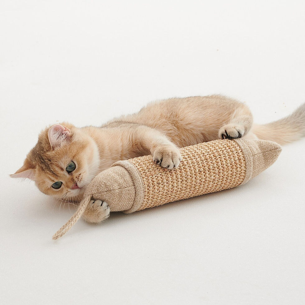 Thumbnail: Pet Toy Fish Cat Scratcher