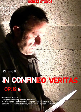 AFFICHE 3 reduite.jpg