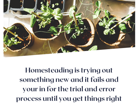Trial & Error at It's Best in the Garden