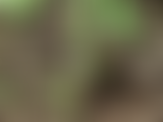 Earthworm crawling through dark soil among small green seedlings and tangled roots outdoors