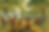 Banner5.png