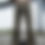 Thumbnail: Black Aile Flare Camo pants 