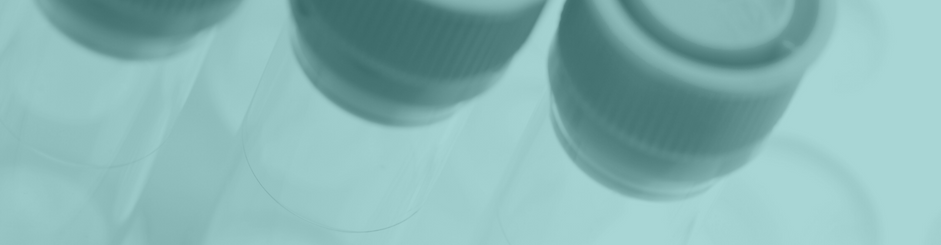 banner images (4).png