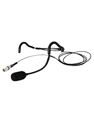 HEADMIC.png