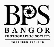BPS Logo.jpeg