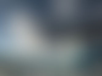 The Eloquent Landscape - Chris Palmer