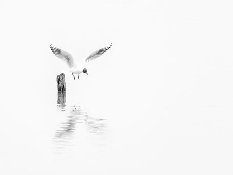 Club and NIPA competitions - Round 3