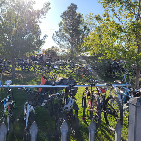 Supporting the Real Freedom to Drive