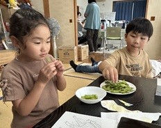 枝豆の収穫をしたよ!