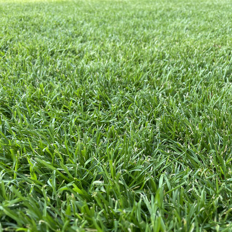 Gebrauchter Tag für die A in Baalberge