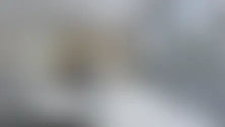 Sala de residencia de alto nivel con domótica en Monterrey — iluminación cálida y persianas motorizadas