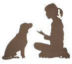 dog_volunteer
