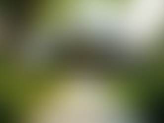 Investing in Property: Key Insights for Executives