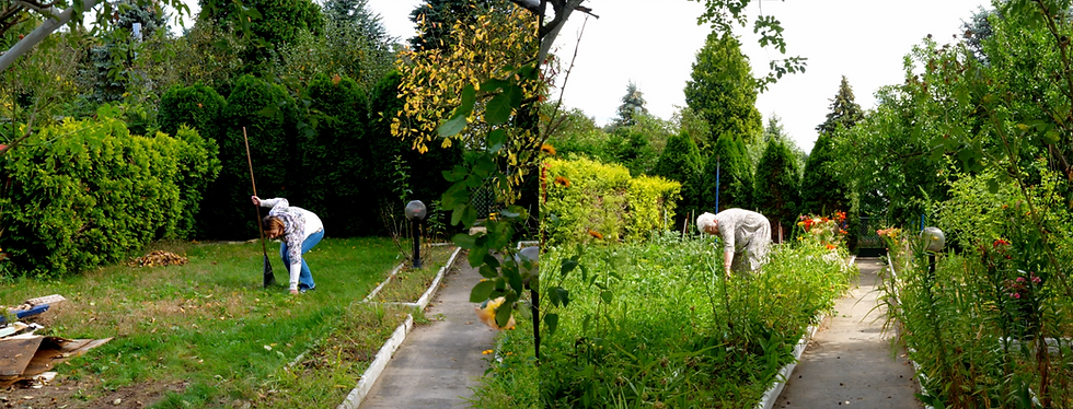 Między blokami a działkami, Karolina Adamczak.