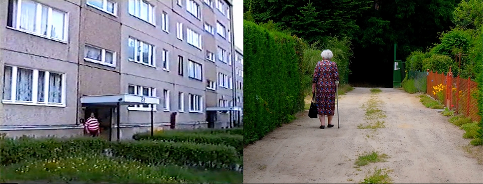 Między blokami a działkami, Karolina Adamczak.