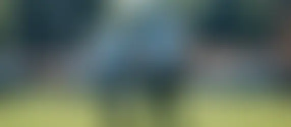 Panthers Lose Both Starting Corners To IR