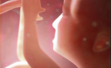 Baby im Bauch_edited.jpg