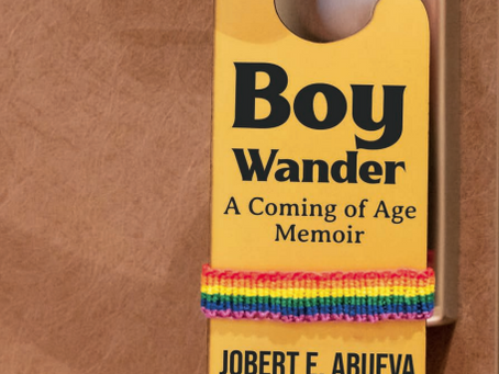 Booksellers are now taking preorders for Boy Wander!