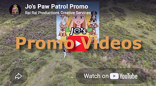 Promo Videos