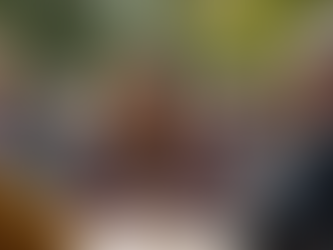 Meet Lisa McMillian: A Candidate for Our Community